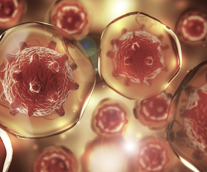 雅黑為生物醫藥科技行業網站設計服務