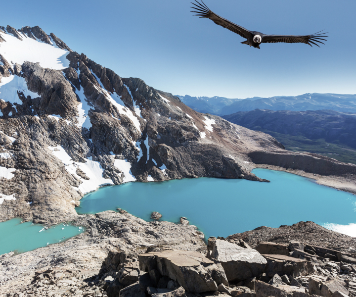 雅黑為大型集團設計多元化網站