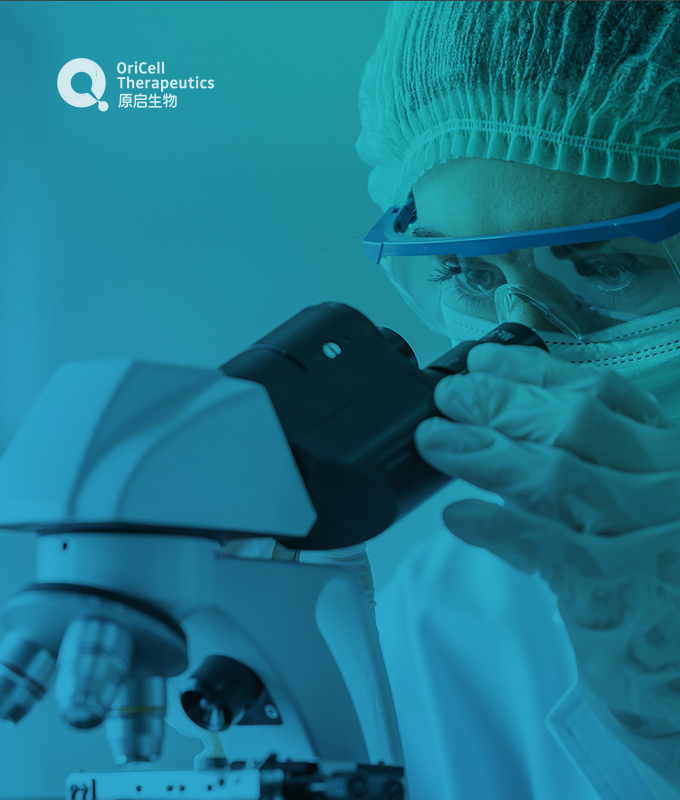 專業網站制作公司