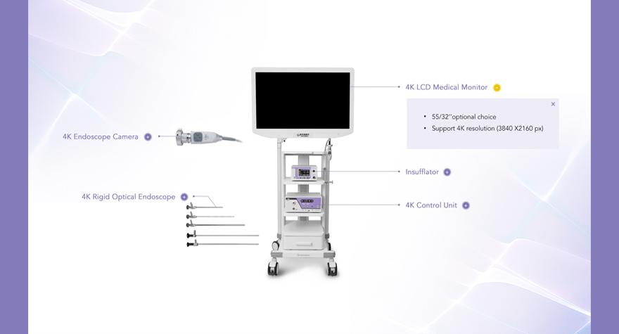 企業(yè)網(wǎng)站設(shè)計jpg